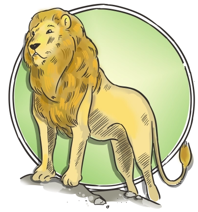illustrated lion